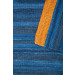 Image Lable BlueOne10-06-22-15:13:10